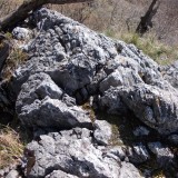 Sólyom-kő rét (JN)