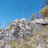 Sólyom-kő rét (JN)