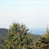 A Pirító-bükki út, kilátás az Upponyi-hegyhátra. (JN)